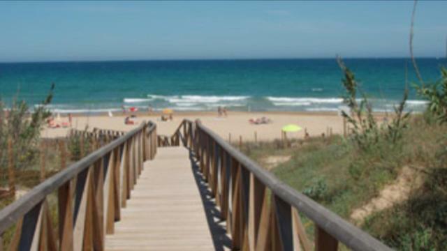 Oasis Beach 7 Torrevieja Zewnętrze zdjęcie